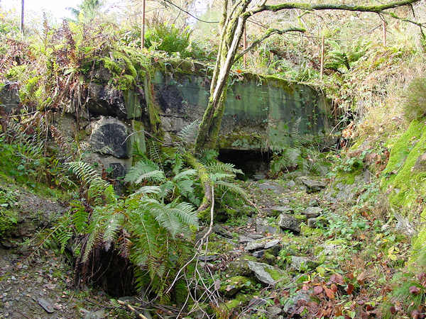 PILLBOX #118