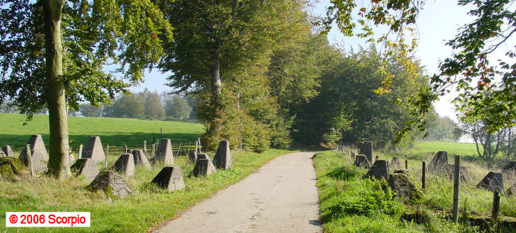 DRAGONS TEETH