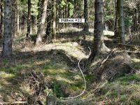 TRENCH LEADING TOWARDS PILLBOX #22