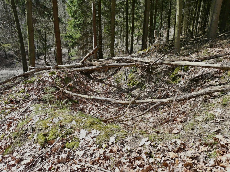 GERMAN DUGOUT AT THE HORSESHOE TURN