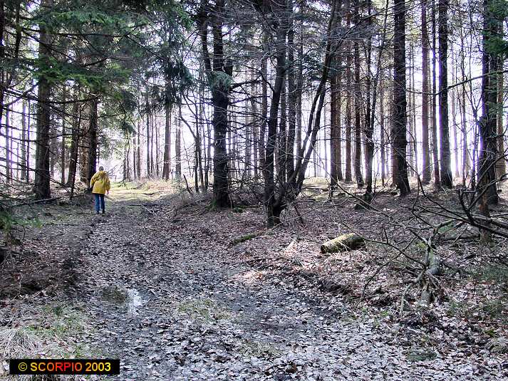 JEEP TRAIL