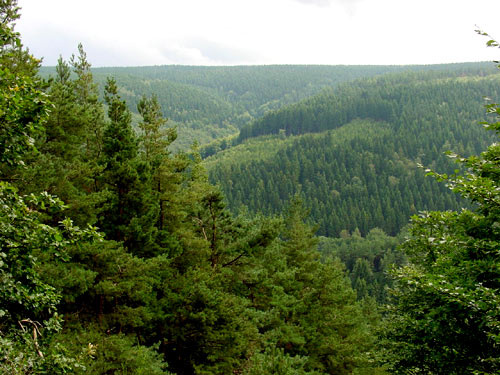 THE HURTGEN FOREST