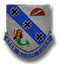 SHOULDER PATCH 309TH INFANTRY