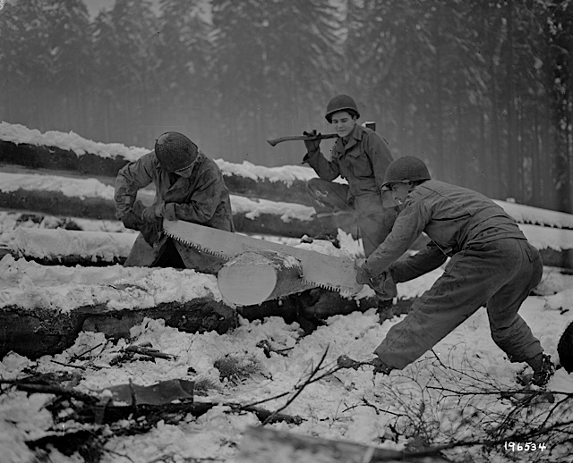 Cutting Wood