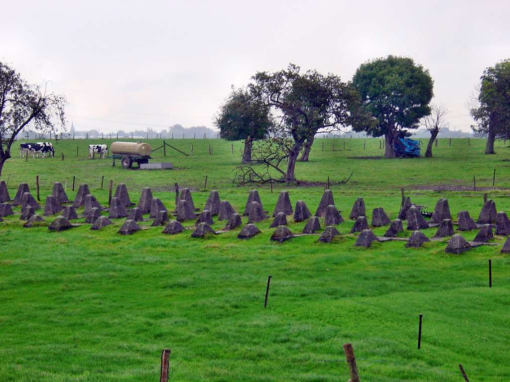 Dragon's Teeth Horbach