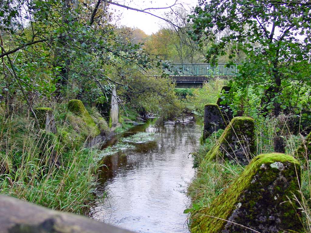 Dragon's Teeth Bickerath