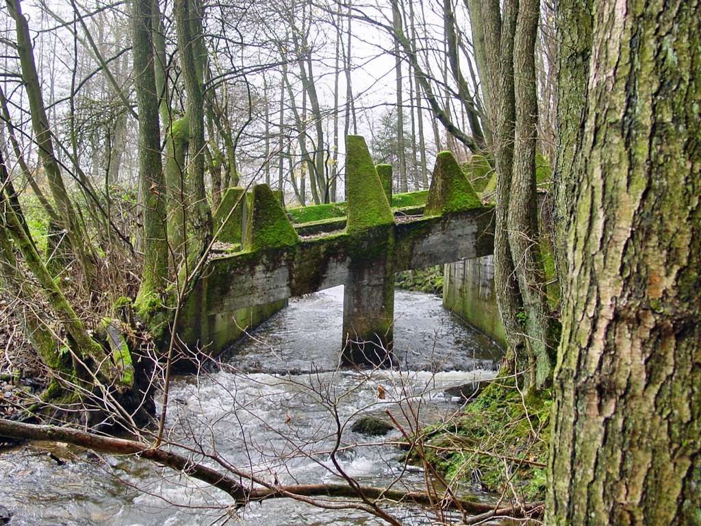 Dragon's Teeth Roetgen