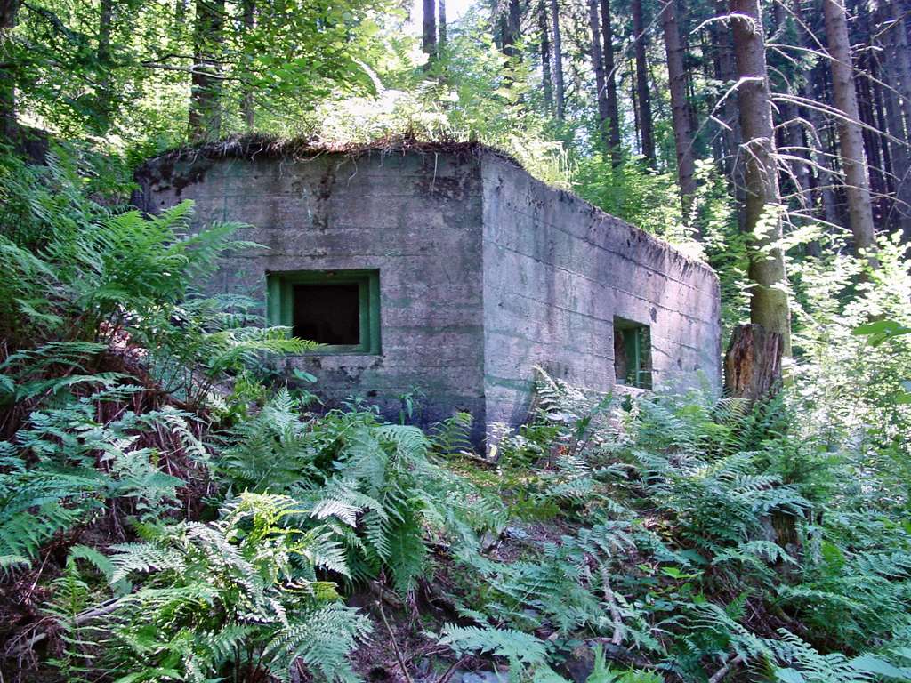 Type D1 Pillbox