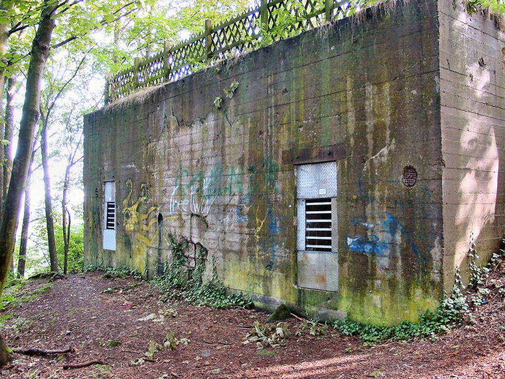 Pillbox #371 at Bergstein