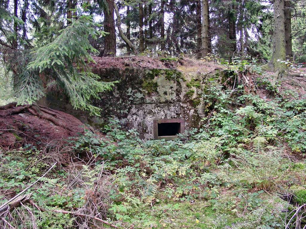 Embrasure of Pillbox #132