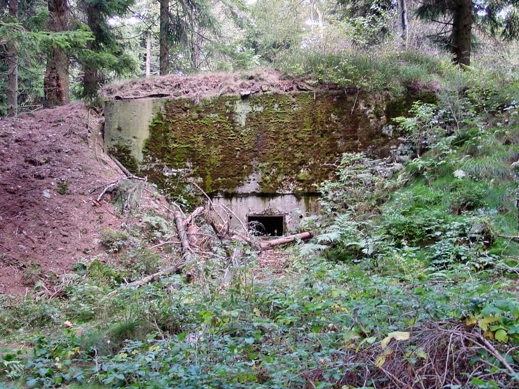 Embrasure of Pillbox #135