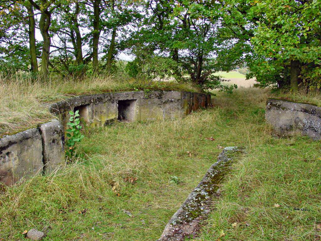 FLAK Gun Pit